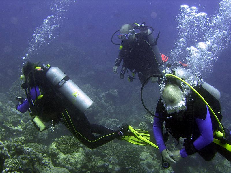 MANGROVE 07  2008 176.jpg